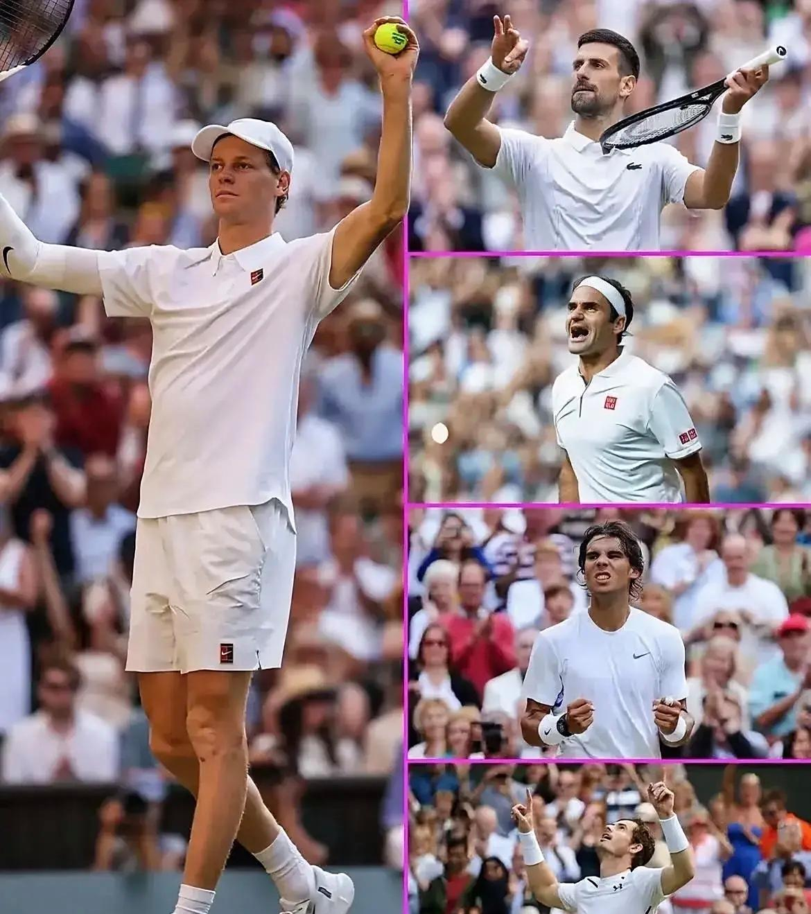 温网完胜戴维斯杯，穆雷统治全场