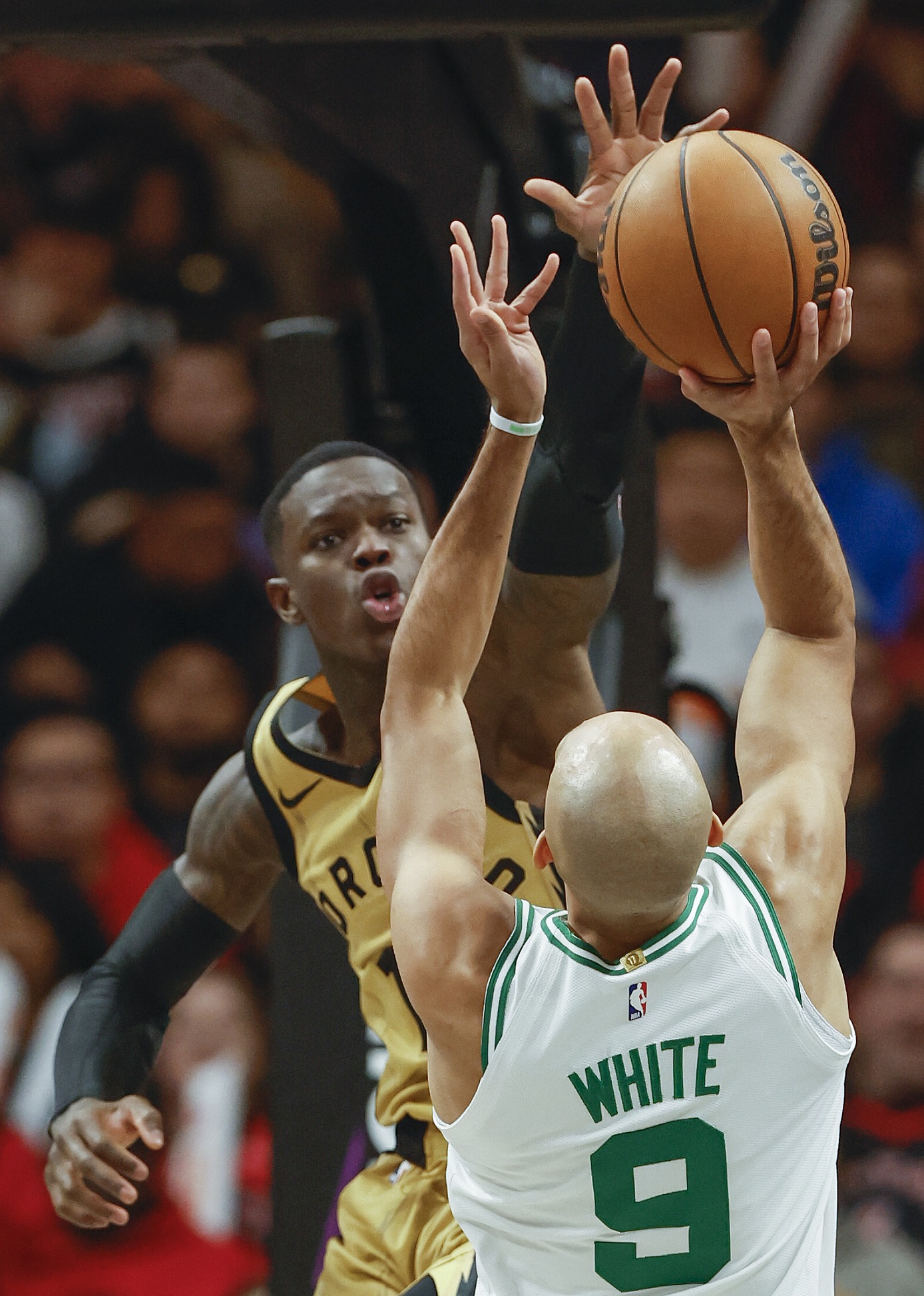 猛龙完胜鹈鹕，拉文高光表现