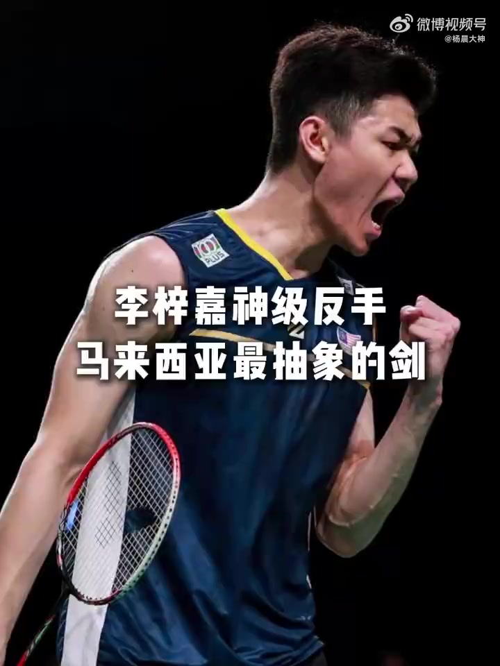 德国队逆转马来西亚队，李梓嘉刷新纪录