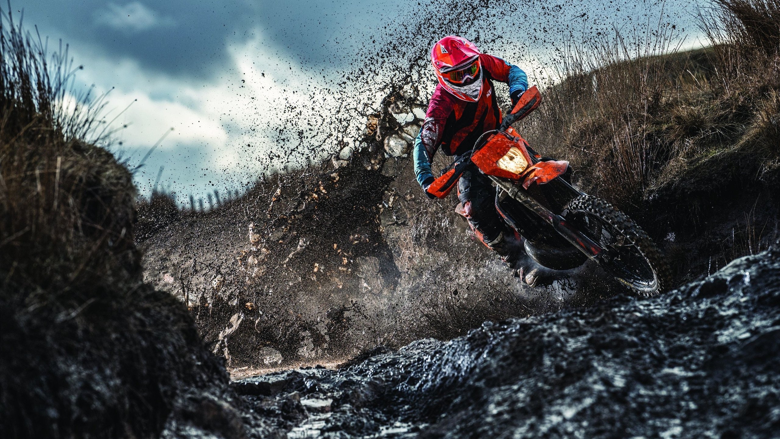 世界杯焦点与骑士争冠，2026的赛场传奇